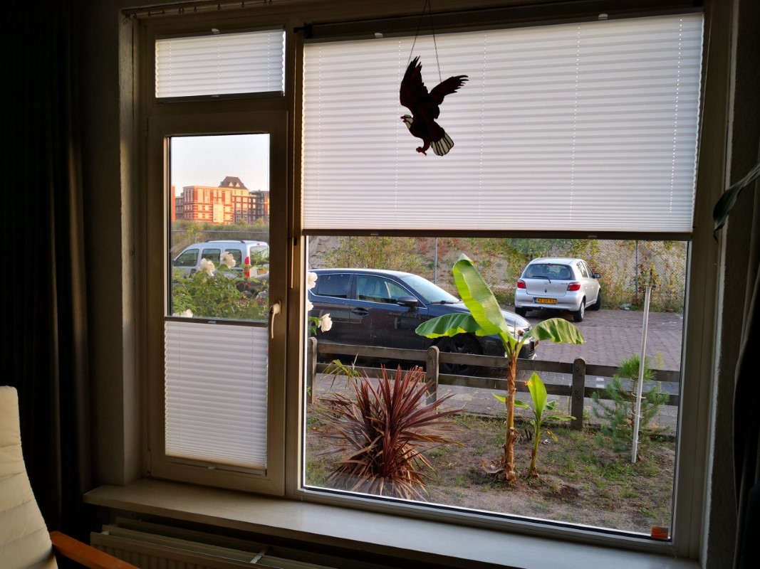 Plisy plaster miodu detale Omegga